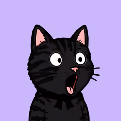 Pog Cats #1198