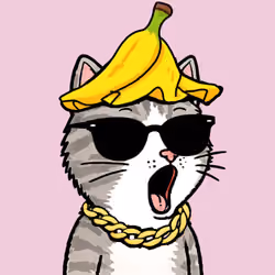 Pog Cats #1690