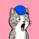 Pog Cats #382