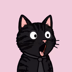 Pog Cats #3237