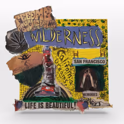 Cognition #97. Wilderness