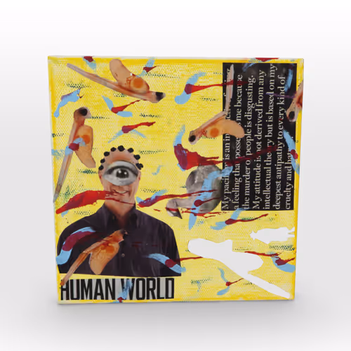 Cognition #20 Human World
