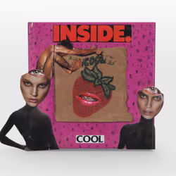 Cognition #263. Inside. Cool