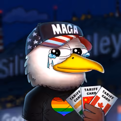 2029