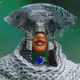 6020