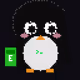 241