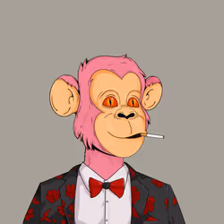 7855