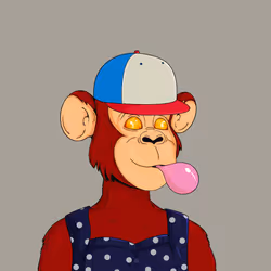 4828