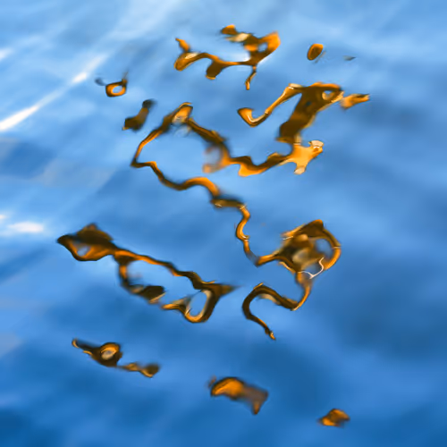 Pay it Forward Editions