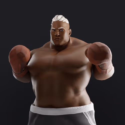 Muhammad Ali Thenextlegends Boxers