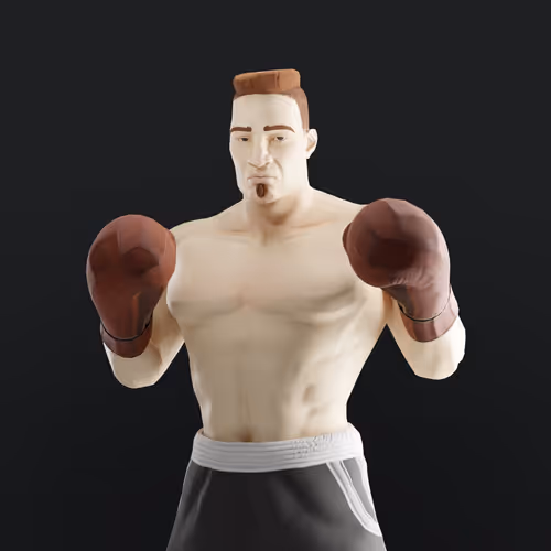 Muhammad Ali Thenextlegends Boxers