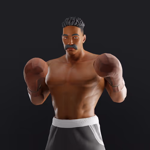 Muhammad Ali Thenextlegends Boxers