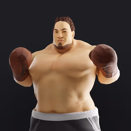 Muhammad Ali Thenextlegends Boxers