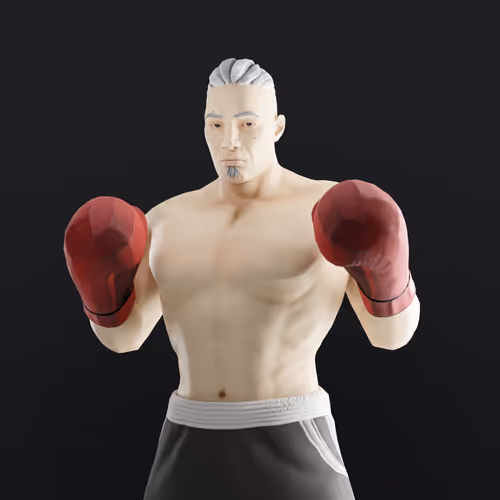 Muhammad Ali Thenextlegends Boxers