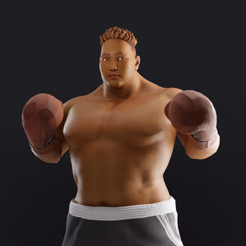 Muhammad Ali Thenextlegends Boxers