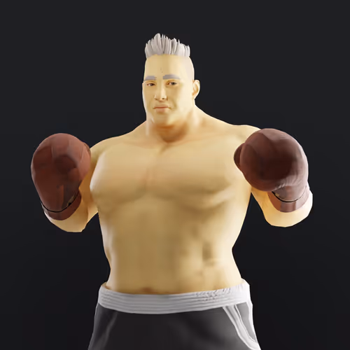 Muhammad Ali Thenextlegends Boxers