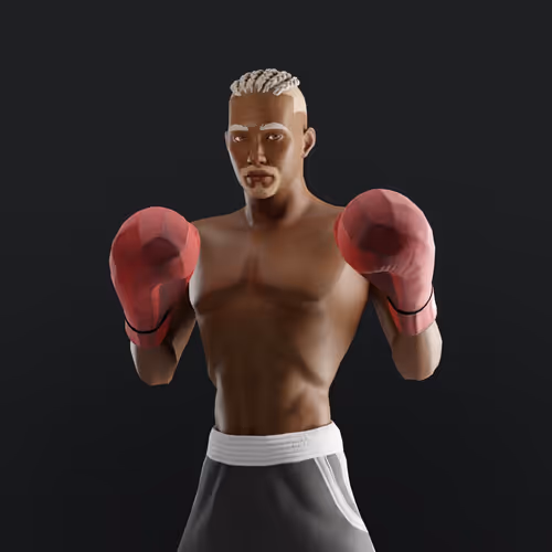 Muhammad Ali Thenextlegends Boxers