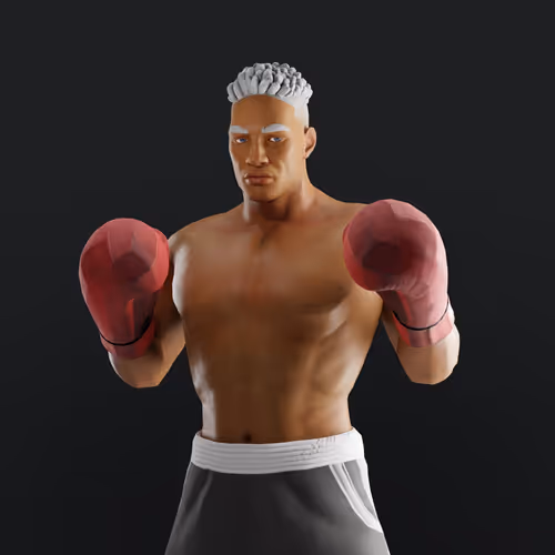 Muhammad Ali Thenextlegends Boxers