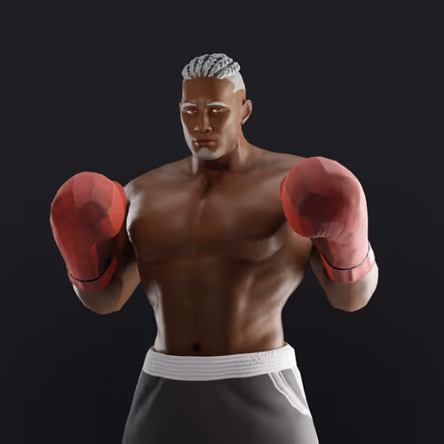 Muhammad Ali Thenextlegends Boxers