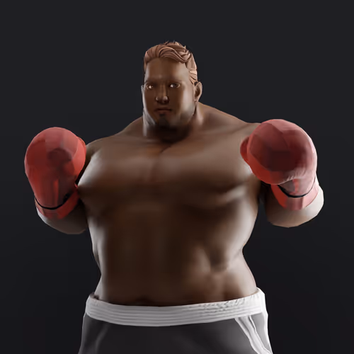 Muhammad Ali Thenextlegends Boxers