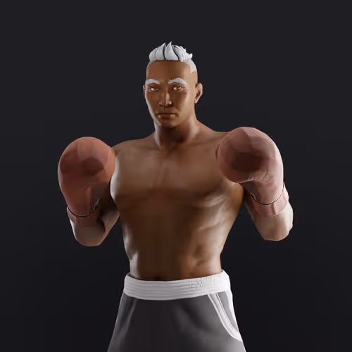 Muhammad Ali Thenextlegends Boxers