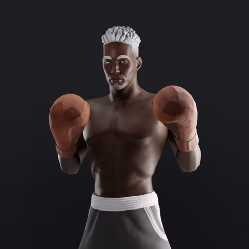 Muhammad Ali Thenextlegends Boxers