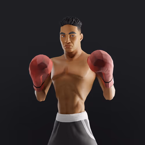 Muhammad Ali Thenextlegends Boxers