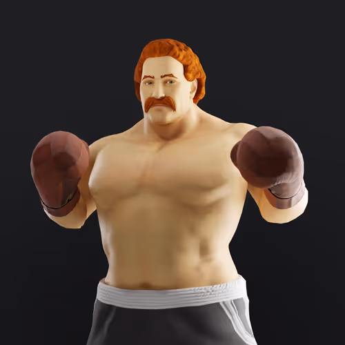 Muhammad Ali Thenextlegends Boxers