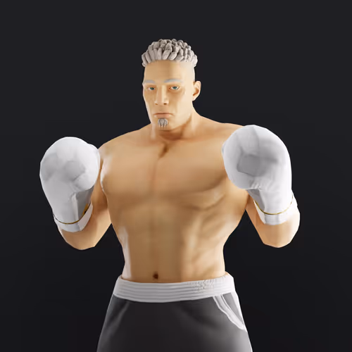 Muhammad Ali Thenextlegends Boxers