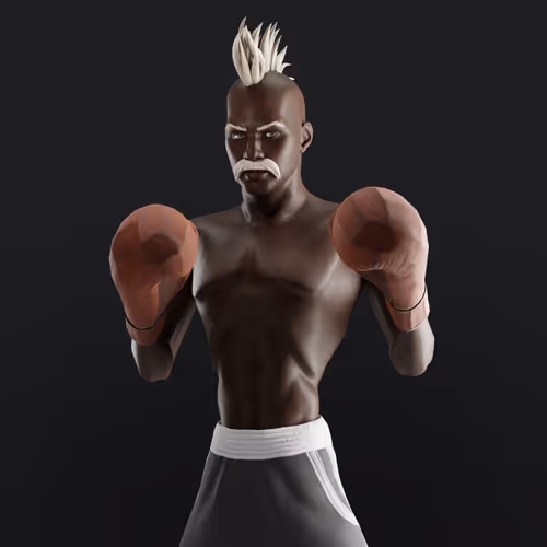 Muhammad Ali Thenextlegends Boxers