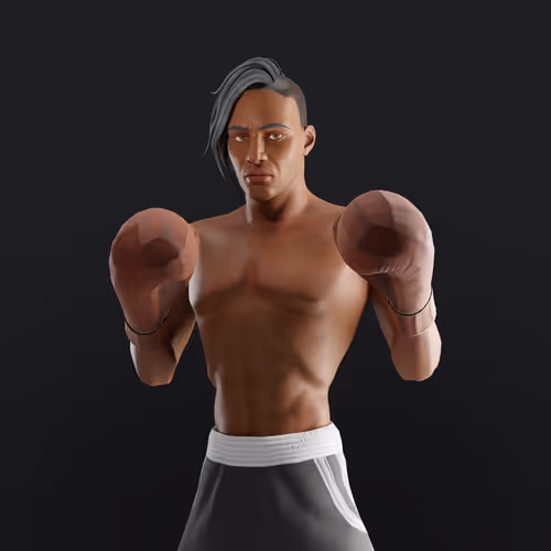 Muhammad Ali Thenextlegends Boxers