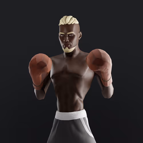 Muhammad Ali Thenextlegends Boxers