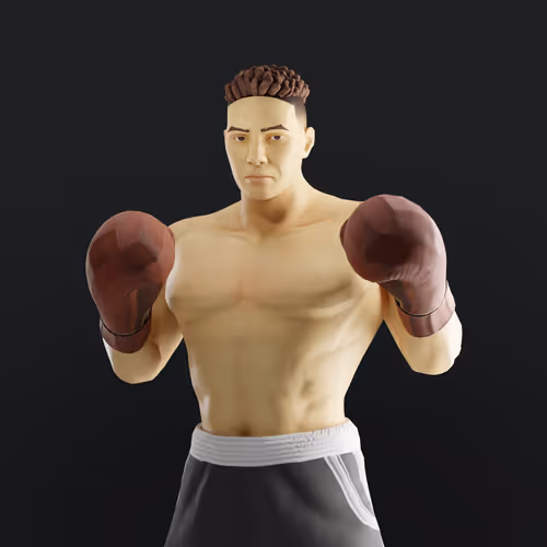 Muhammad Ali Thenextlegends Boxers