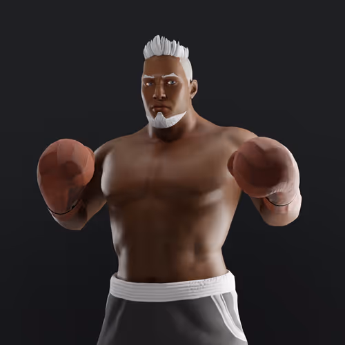 Muhammad Ali Thenextlegends Boxers