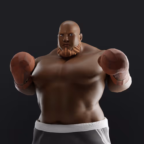 Muhammad Ali Thenextlegends Boxers