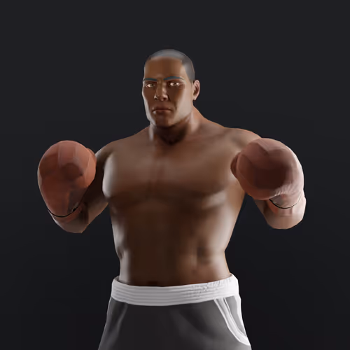 Muhammad Ali Thenextlegends Boxers