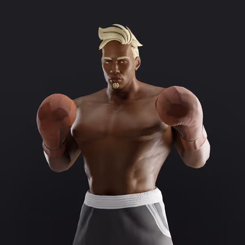 Muhammad Ali Thenextlegends Boxers