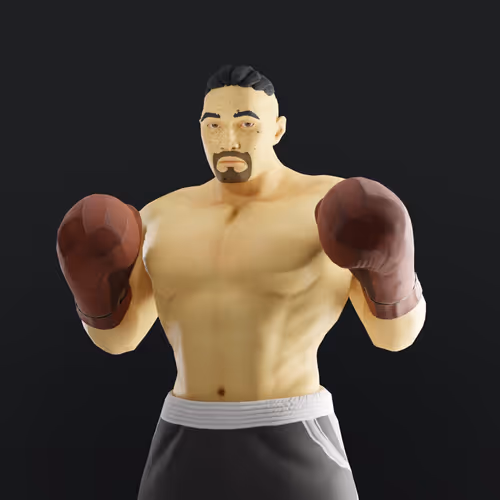 Muhammad Ali Thenextlegends Boxers