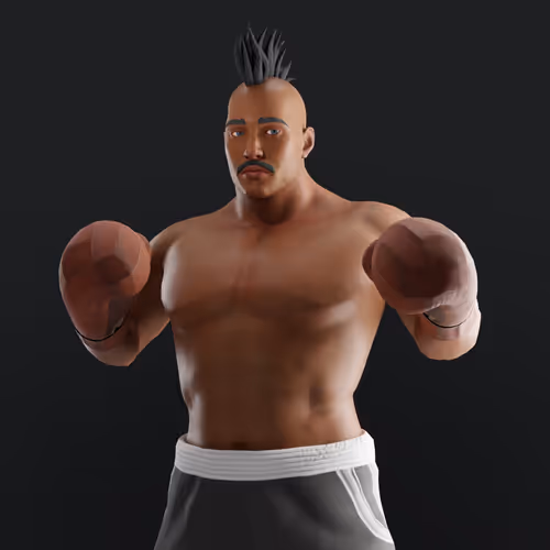 Muhammad Ali Thenextlegends Boxers