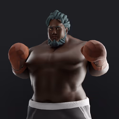 Muhammad Ali Thenextlegends Boxers