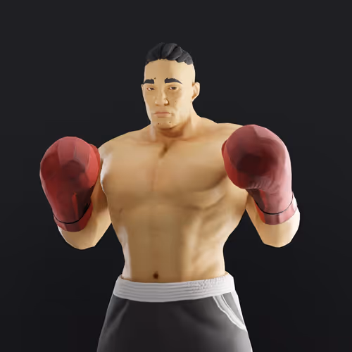 Muhammad Ali Thenextlegends Boxers