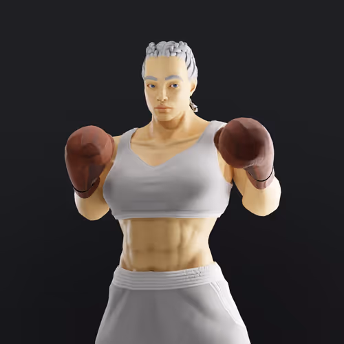 Muhammad Ali Thenextlegends Boxers