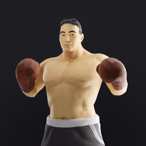 Muhammad Ali Thenextlegends Boxers