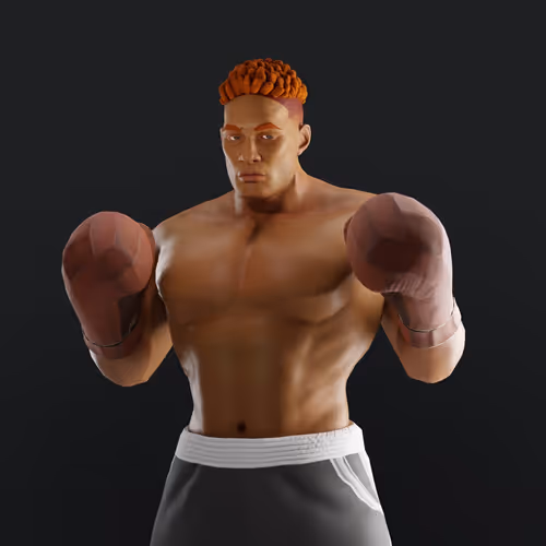 Muhammad Ali Thenextlegends Boxers