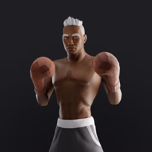 Muhammad Ali Thenextlegends Boxers