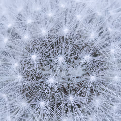 Etude de textures