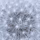 Etude de textures
