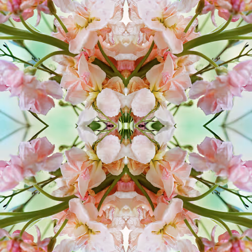 Oasis Of Art Floral Photography