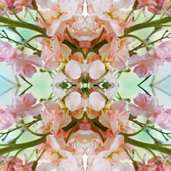 Divinely Crafted In Love #6/12