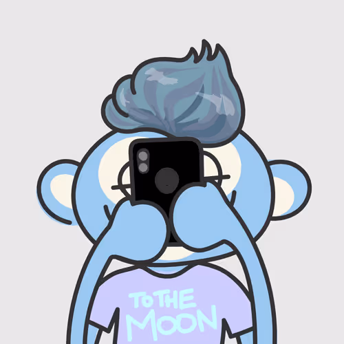 NoEvilMonkey #528
